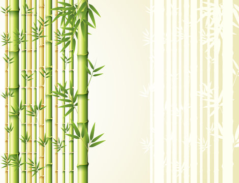 Bamboo background design with golden and green colors