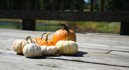 Pumpkins