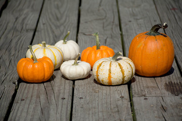 Pumpkins
