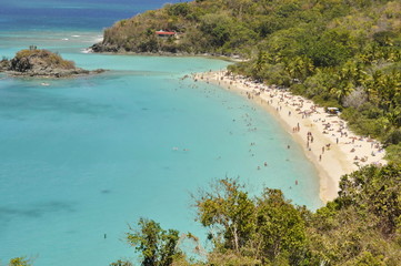 Fototapeta na wymiar Trunk Bay, St. John, US Virgin Islands