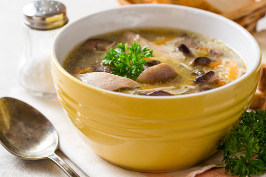 Chicken soup with mushrooms and noodles in bowl on gray stone background
