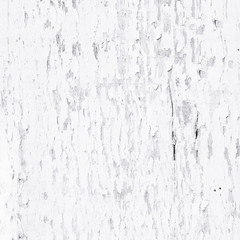 Wooden background. Black and white texture