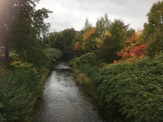 Fototapeta na wymiar kleiner Fluss im Herbst