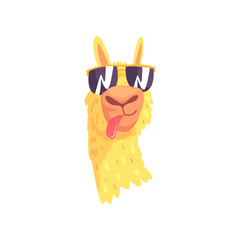 Funny llama character in sunglasses, cute alpaca animal cartoon vector Illustration © topvectors