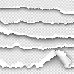 set of torn paper on transparent background