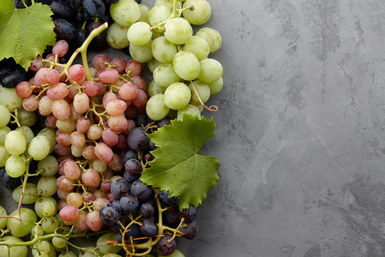 Various grape crops on gray stone background, autumn harvesting
