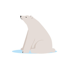 White polar bear animal, Arctic fauna species vector Illustration