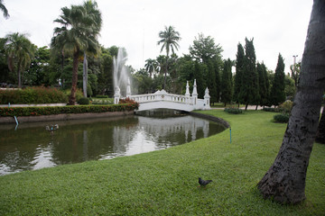 White Bridge Over Water In Park, Nong Buak Hard Public Park, Chiang Mai, Thailand
