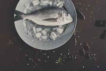 Fresh dorado on platter with ice at black background