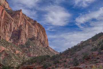 Fototapeta premium Rock face, Zion National Park