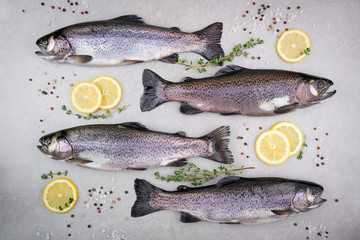 Fresh fish. Trout with salt, lemon and spices thyme herbs on gray background. Cooking fish with herbs. Top view