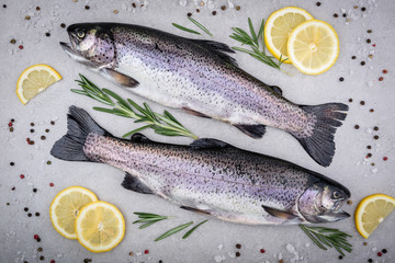 Fresh fish. Trout with salt, lemon and spices on gray background. Cooking fish with herbs. Top view