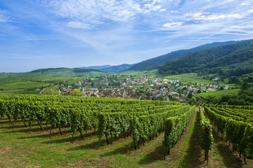 Fototapeta na wymiar Riquewihr en Alsace et son vignoble