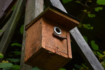 birdhouse on wooden background in forest Park , hand wood shelter for birds to spend the autumn and winter