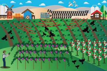 Smart Farm Concept,Bird protection,protect your fruit trees from birds destroy - Vector