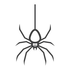 Spider line icon, halloween and scary, danger sign vector graphics, a linear pattern on a white background, eps 10.