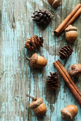 Autumn background with fall spices, selective focus © vm2002