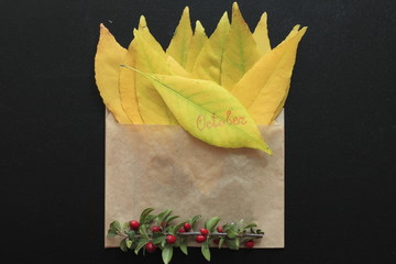 This is a envelope with yellow leaves