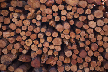 Firewood stacked and prepared for winter Pile of wood logs
