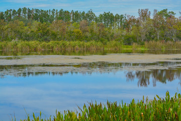 The view of Walsingham Lake at Walsingham Park