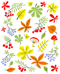Autumn floral set. Fall season vector illustration with bright leaves, rowan and grape berries