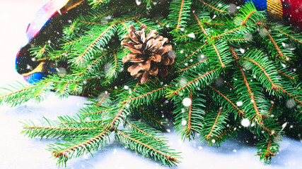 Fir tree branches with scarf and pine cones. Winter Christmas mood