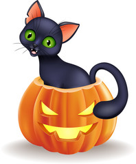 Cartoon black cat sitting in Halloween pumpkin