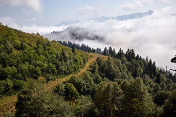 Obraz premium Beautiful mountain forest landscape.
