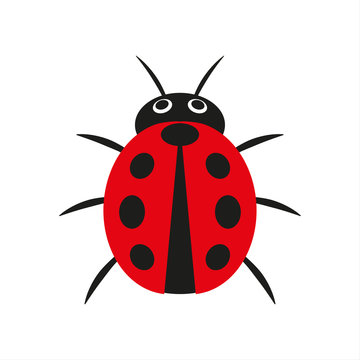 Simple vector illustration of red ladybug isolated on a white background