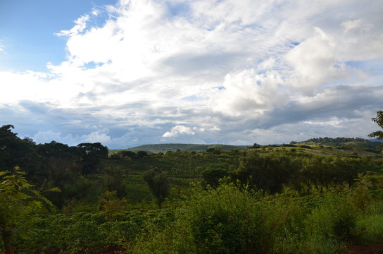 The African landscape. Tanzania