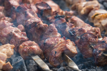 Cooking shashlik in the forest. Grilling pork on coal with smoke, mtsvadi, barbecue