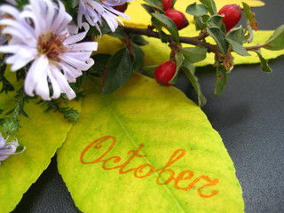 This is a bouquet of autumn flowers