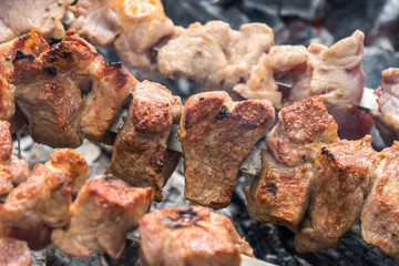 Cooking shashlik in the forest. Grilling pork on coal with smoke, mtsvadi, barbecue