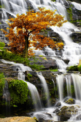 Beautiful waterfall in tropical forest in autumn at Chiang Mai, Thailand.
