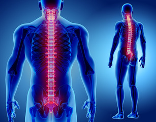 3D illustration of Spine, medical concept.