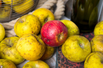 some organic apples on  rope in the shed