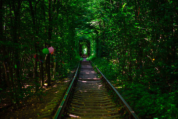 a railway in the spring forest tunnel of love