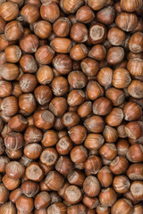 Hazelnuts forming a background 
