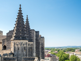 Fototapeta na wymiar Roof top of Papal palace in Avignon, France