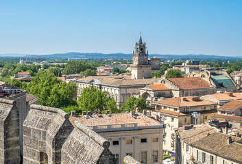 Fototapeta na wymiar Avignon city view from Papal palace