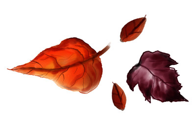 watercolour autumn leaves vector