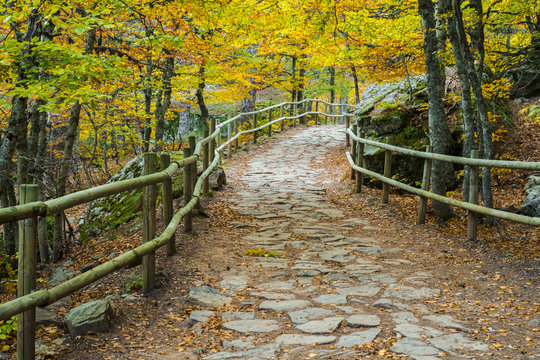 Oto&ntilde;o Laguna negra