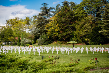 Alignement de croix au cimeti&egrave;re Am&eacute;ricain de la n&eacute;cropole de La Doua &agrave; Villeurbanne