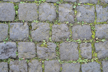 cobblestone street surface with weeds growing in joints