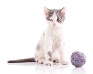 Threaded games. cat poster.