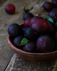 The harvest of fresh plums. The taste of summer.