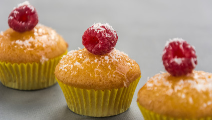 Tasty cupcakes on grey background
