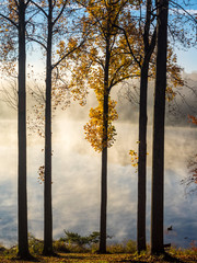 Misty Lake Through Autumn Trees