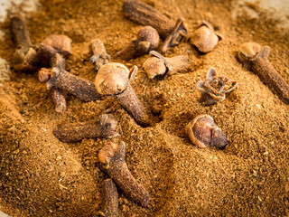 Whole and Ground Cloves Close Up