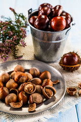Hazelnuts and chestnuts 